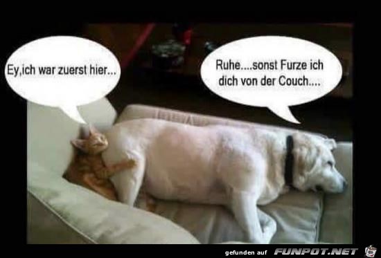 zuerst zuerst