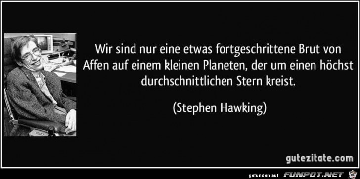 wir sind eine etwas fortgeschrittene Brut wir sind eine etwas fortgeschrittene Brut