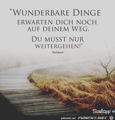 wunderbare dinge wunderbare dinge