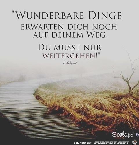 wunderbare dinge