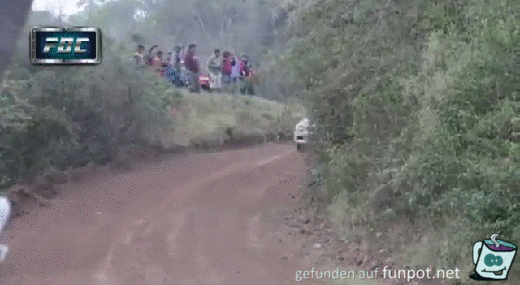 Rallyauto berfliegt Hund