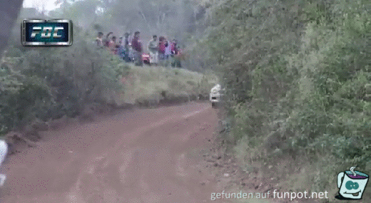 Rallyauto überfliegt Hund Rallyauto überfliegt Hund