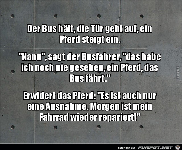 der Bus hlt.....