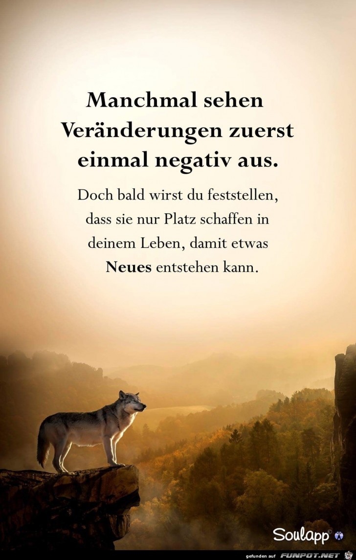 manchmal sehen Veränderungen zuerst negatiev aus...... manchmal sehen Veränderungen zuerst negatiev aus......