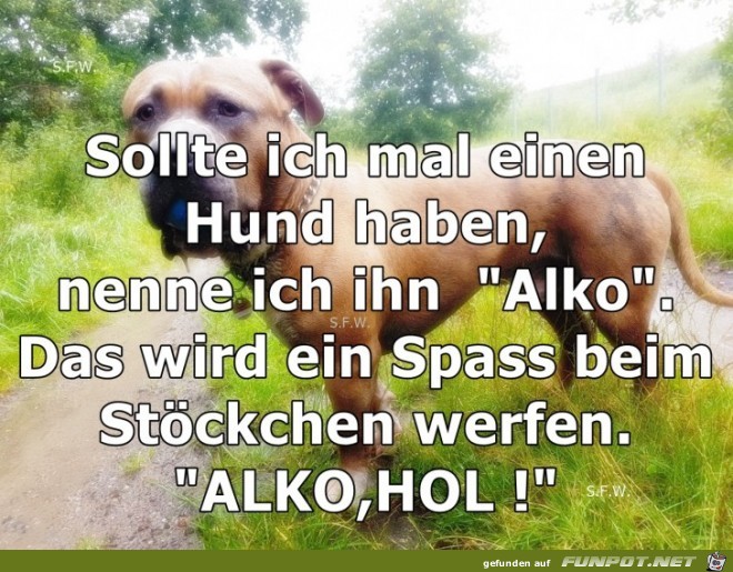 Sollte ich mal einen Hund Sollte ich mal einen Hund