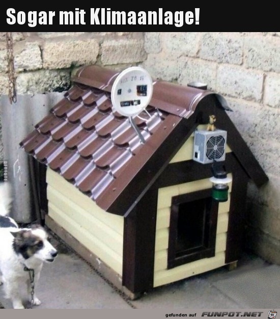 Super Hundehtte