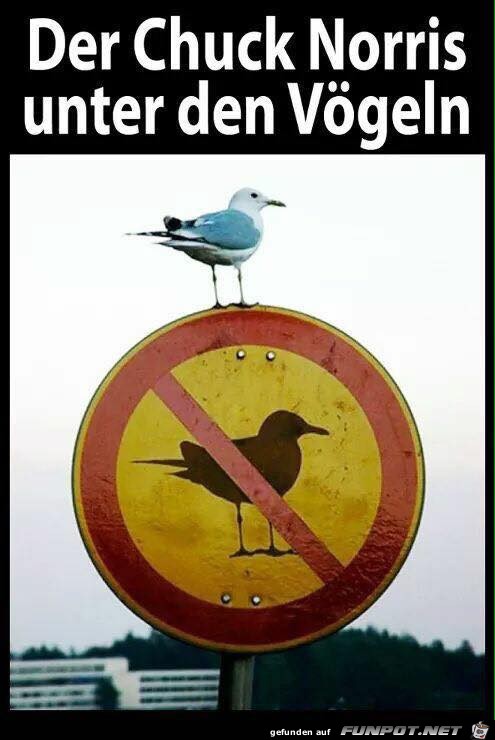 Was juckt mich das Schild Was juckt mich das Schild