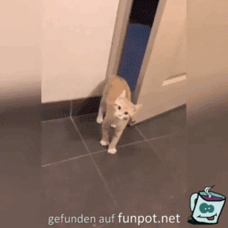 Ich geh lieber wieder Ich geh lieber wieder