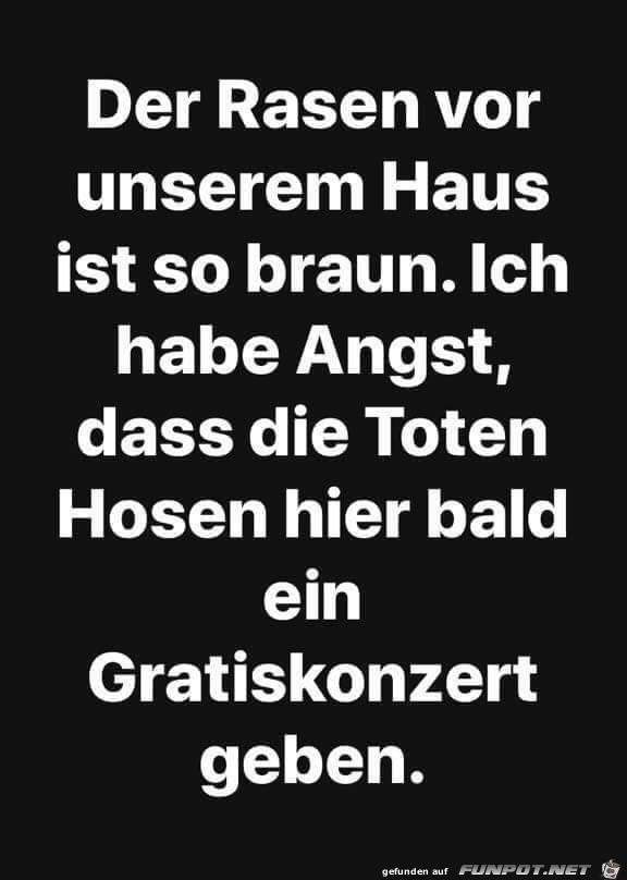 Der Rasen...