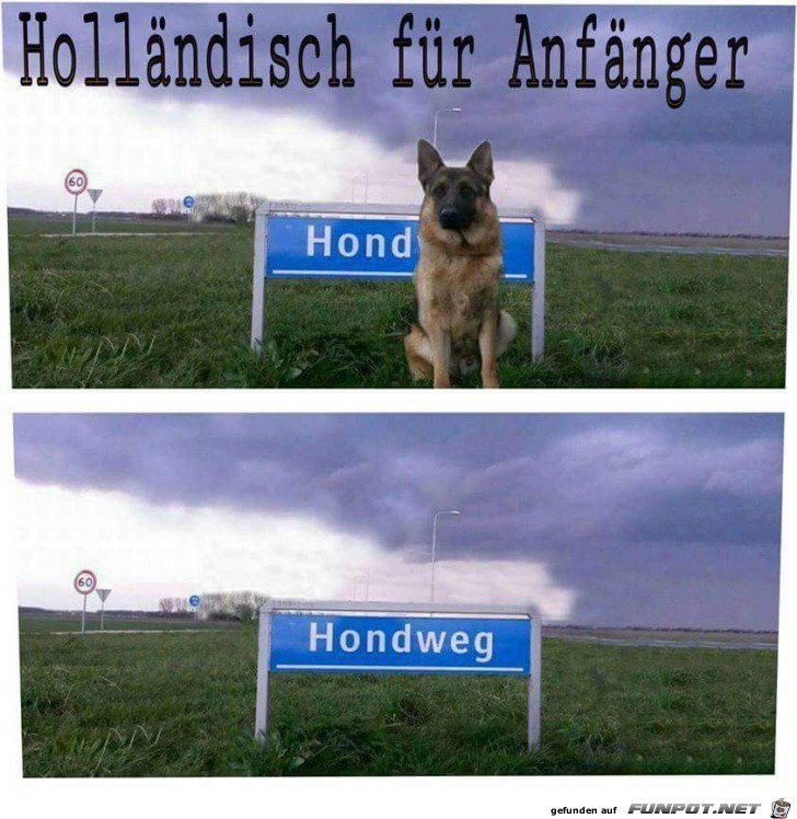 Holländisch für Anfänger Holländisch für Anfänger