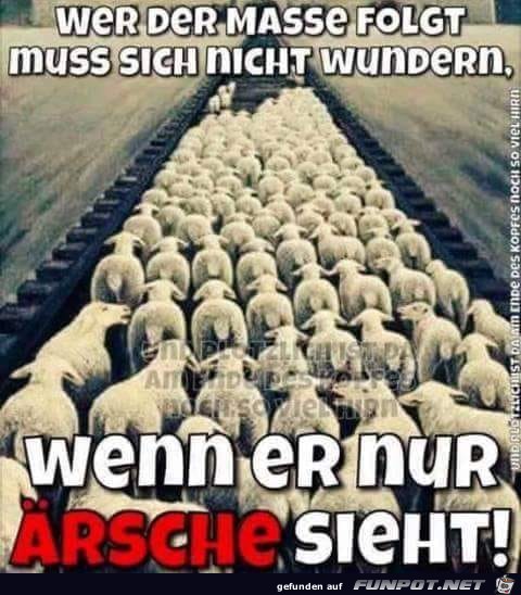 Mit der Masse gehen Mit der Masse gehen