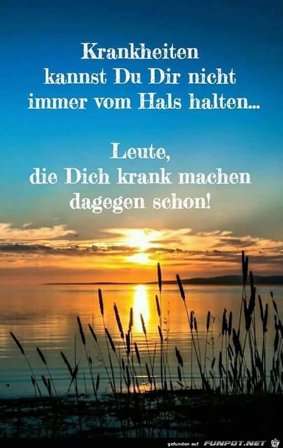 Krankheiten Krankheiten