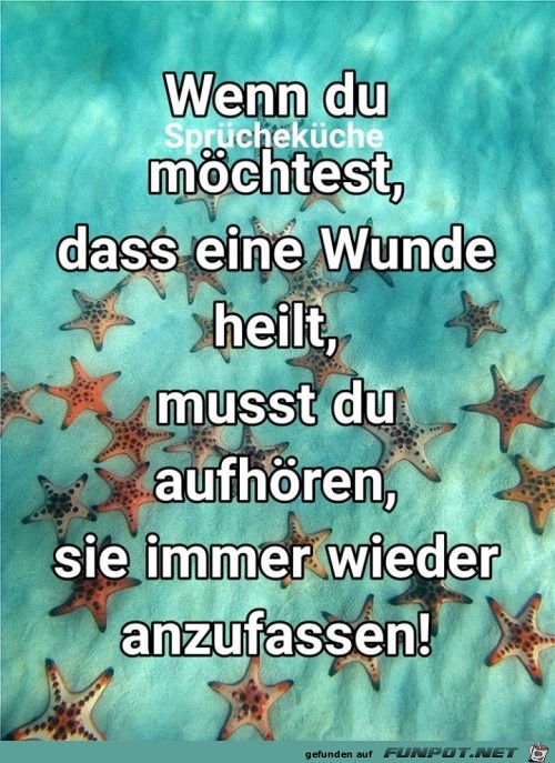 Wenn du moechtest