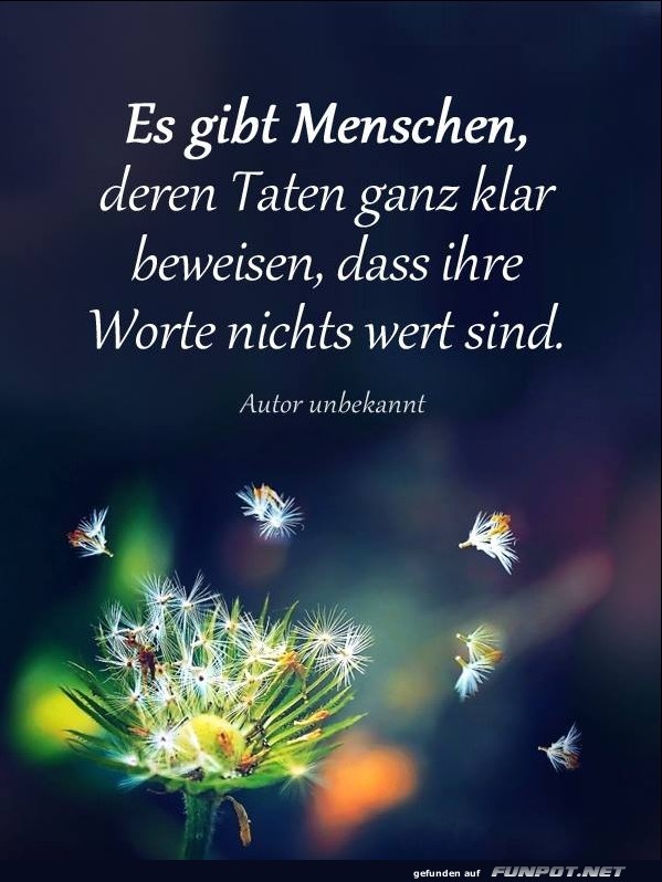 10 schne Sprche und Lebensweisheiten aus...
