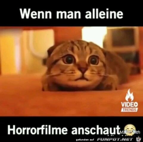 Dieser Blick Dieser Blick
