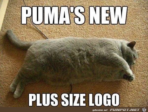 Neues Logo Neues Logo