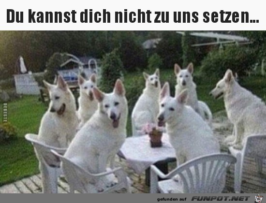 Alle Pltze sind belegt