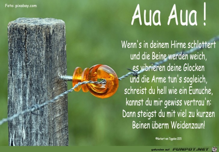Aua Aua! 2018 Aua Aua! 2018