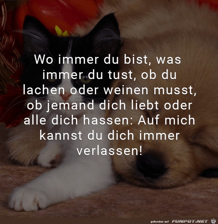 wo immer du bist,.....