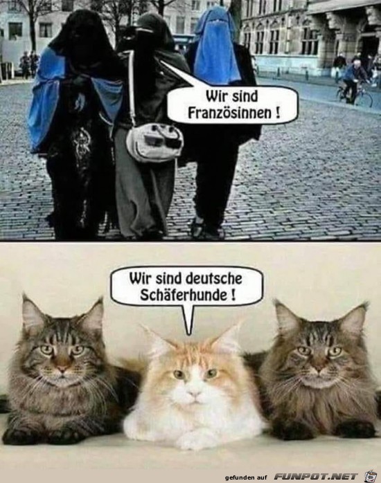 keine Worte... keine Worte...