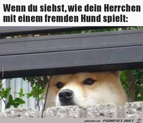 Das ist ja unmglich