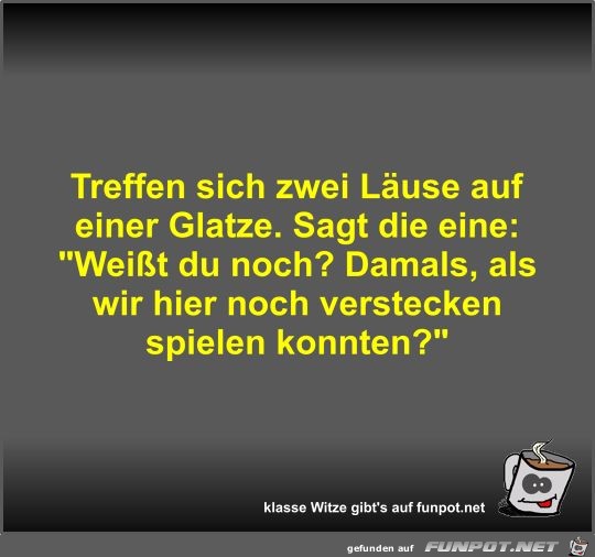 Treffen sich zwei Läuse auf einer Glatze Treffen sich zwei Läuse auf einer Glatze