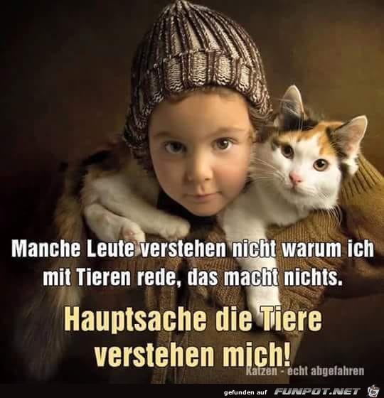 Manche Leute verstehen nicht Manche Leute verstehen nicht