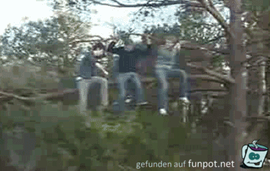 Ast absägen Ast absägen