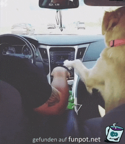 Händchen halten Händchen halten
