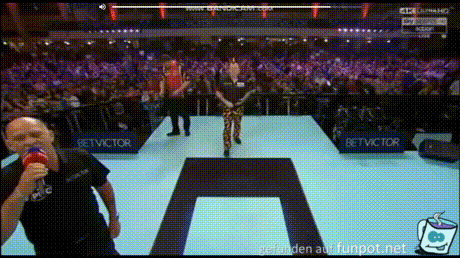 Perfekter Dartspieler Perfekter Dartspieler