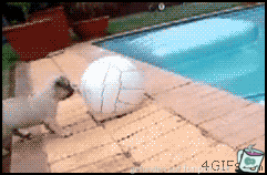 Warum liegt der Ball da Warum liegt der Ball da