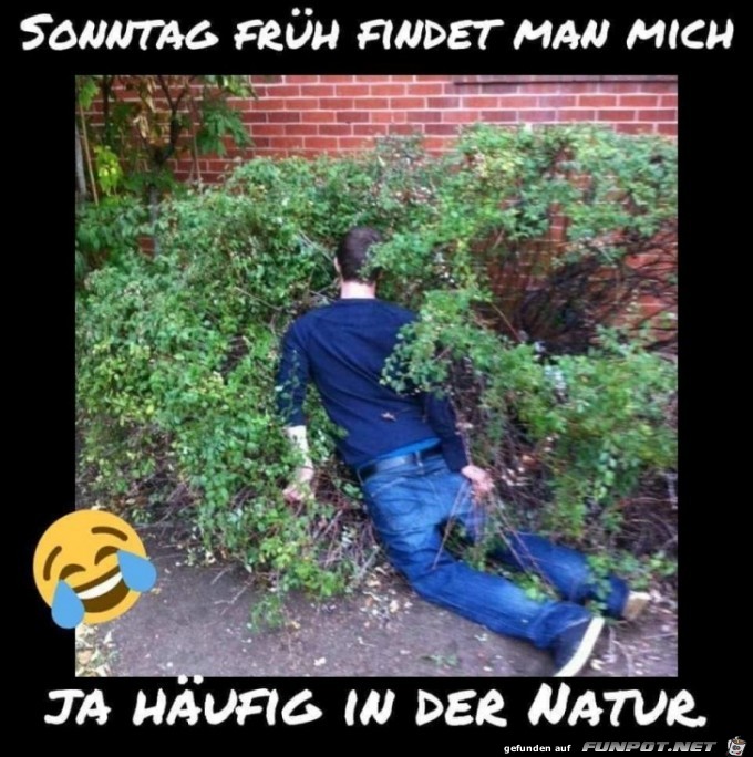 Sontag früh Sontag früh