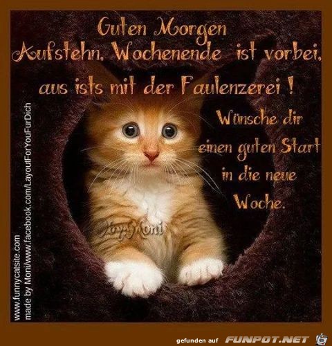 Guten Morgen - Guten Morgen -