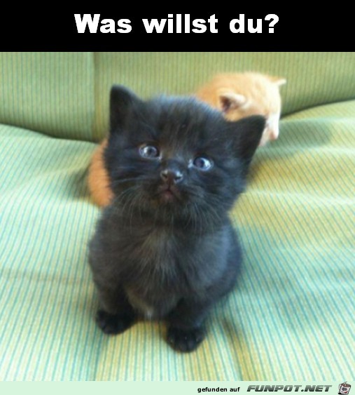 was ist