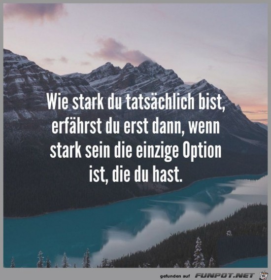 Stark sein