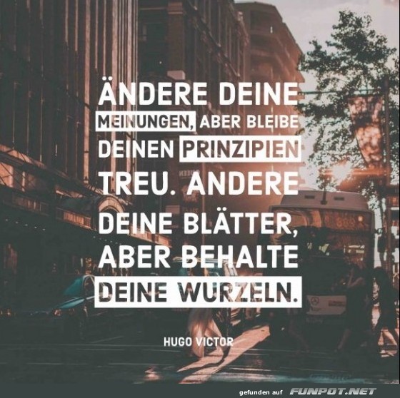 aendere-deine-meinungen-aber-bleibe-deinen-prinzipien-treu-a