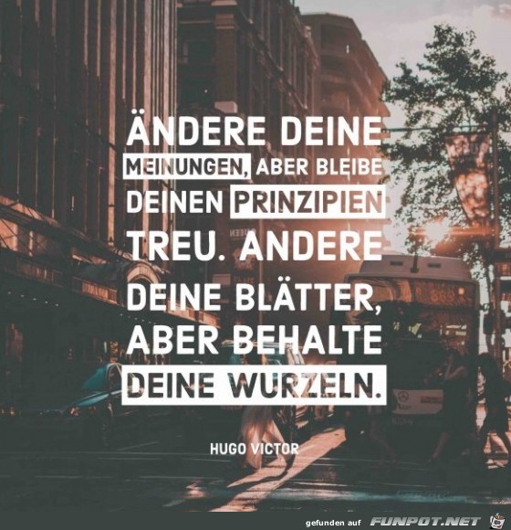 aendere-deine-meinungen-aber-bleibe-deinen-prinzipien-treu-a aendere-deine-meinungen-aber-bleibe-deinen-prinzipien-treu-a