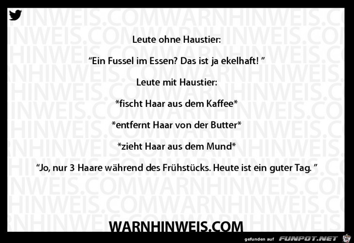 Unterschied Haustiere Unterschied Haustiere