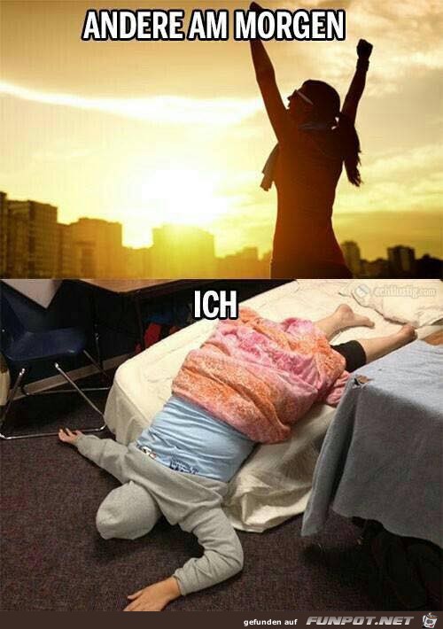 Morgens Morgens