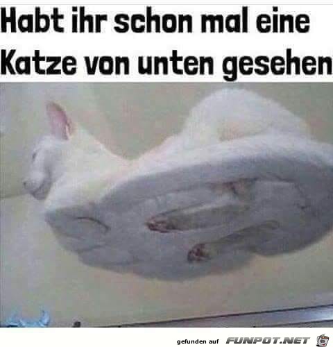 habt ihr sowas schon gesehen ?