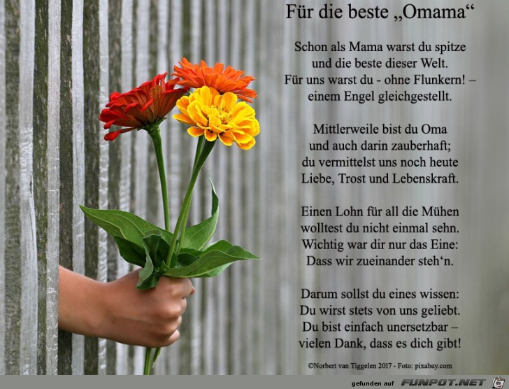 Für die beste Omama 2018 Für die beste Omama 2018