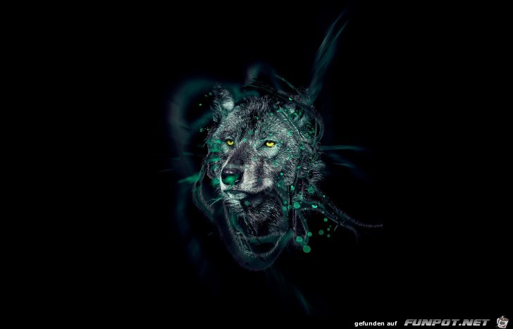 Wolf Wolf