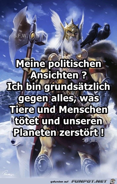 Meine politischen Ansichten Meine politischen Ansichten