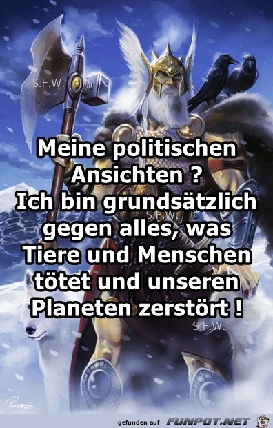 Meine politischen Ansichten