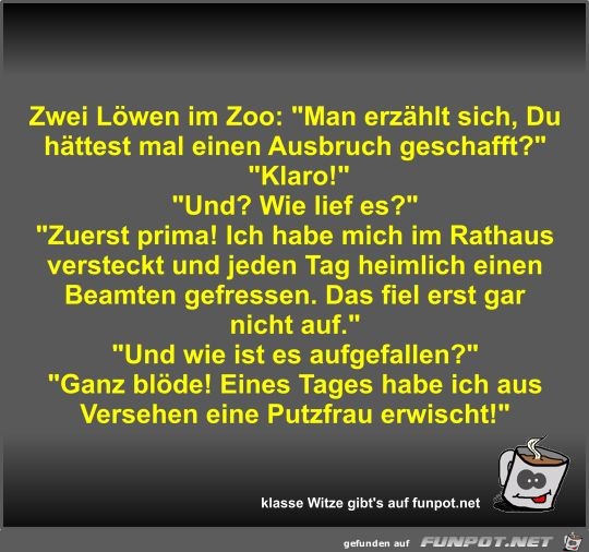 Zwei Löwen im Zoo Zwei Löwen im Zoo