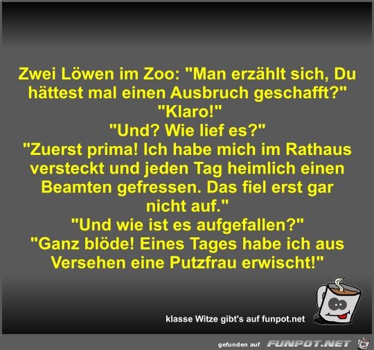 Zwei Lwen im Zoo