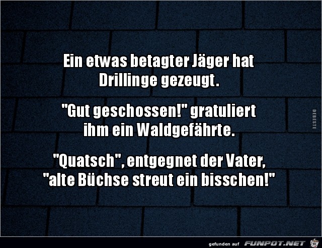 ein betagter Jger hat Drillinge gezeugt.....