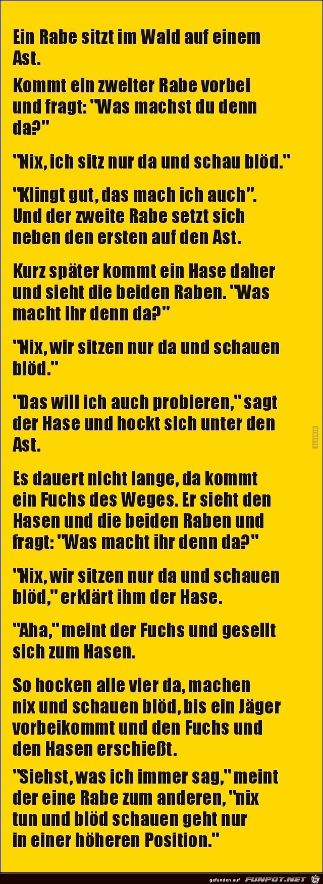 ein Rabe sitzt auf einem Ast........