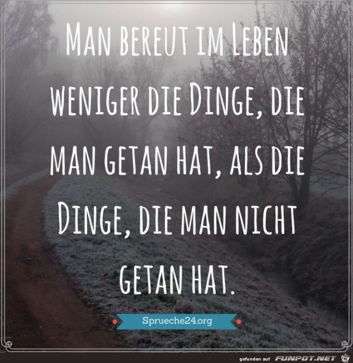 man bereut im Leben weniger die Dinge.... man bereut im Leben weniger die Dinge....