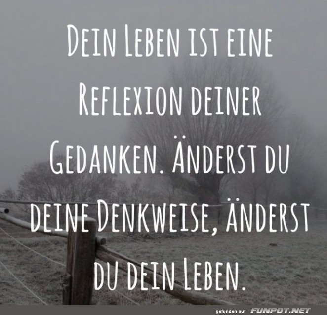10 schne Sprche und Lebensweisheiten aus...